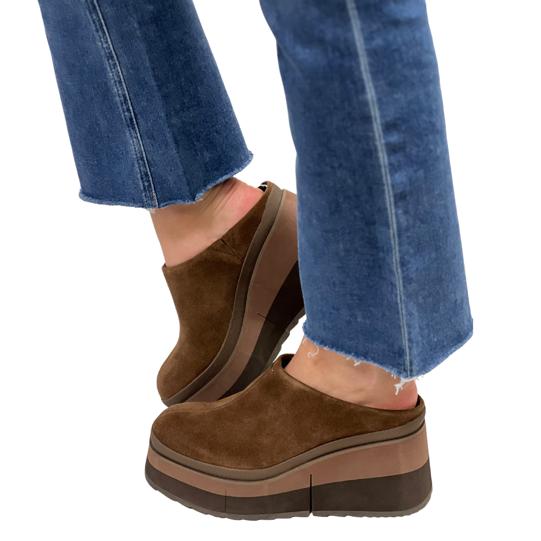 COACH in Dark Brown