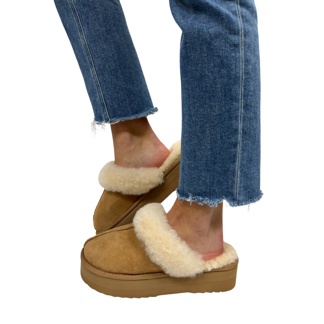 TRUDIE in Camel