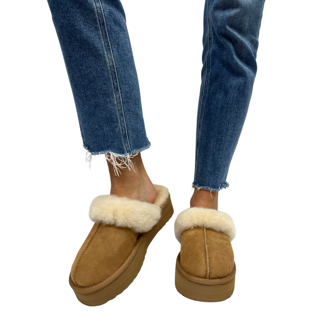 TRUDIE in Camel