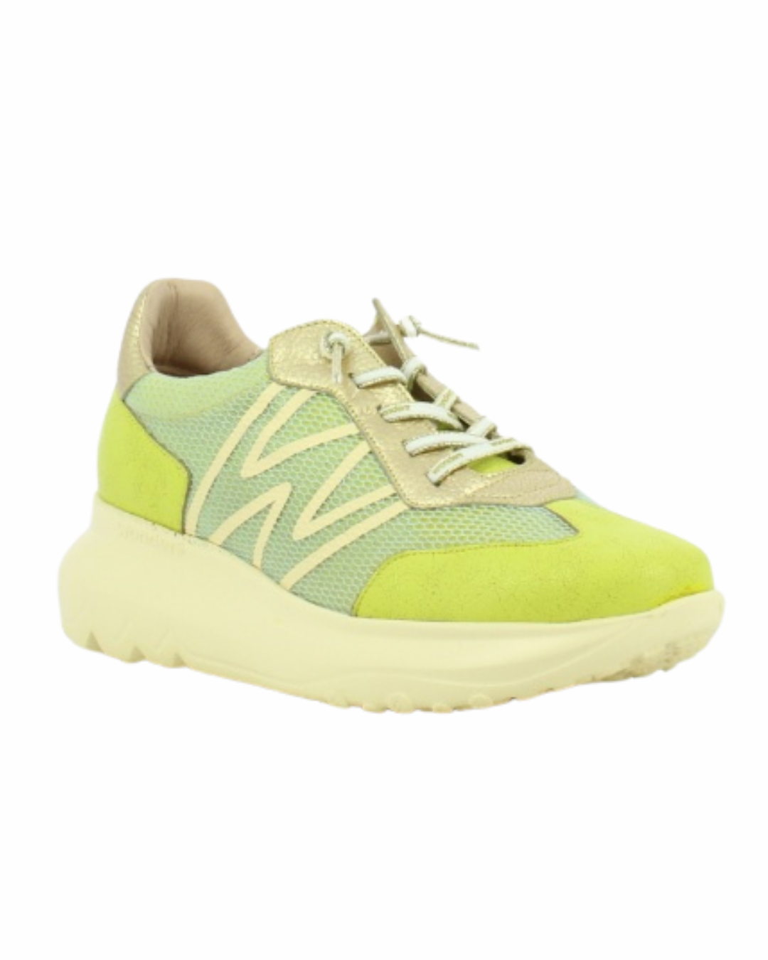 AZURE in Lime/Aqua + Platino