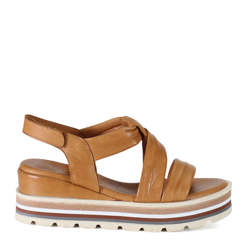 MELLEN CAMP in Coconut
