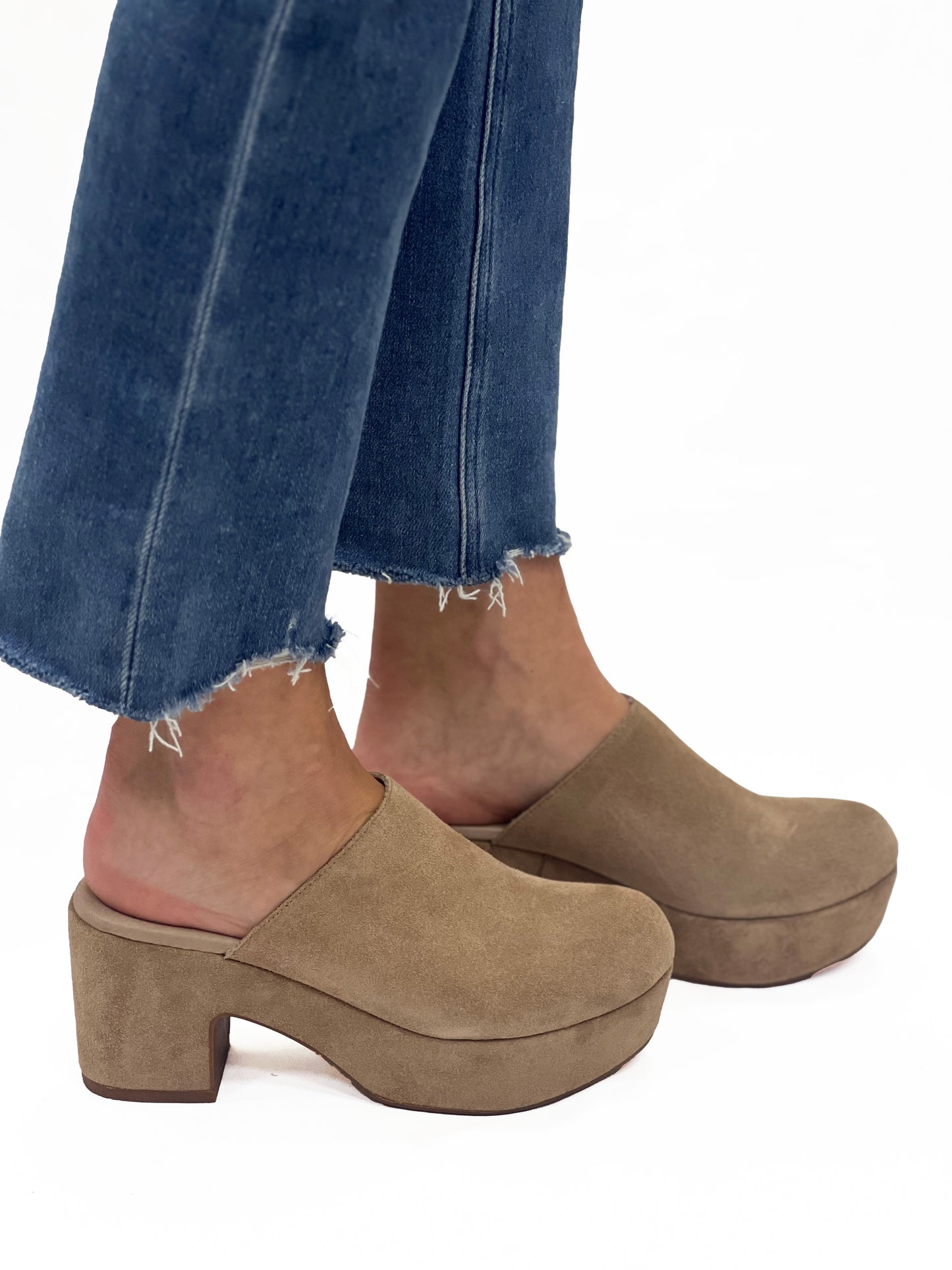 GINETTE in Latte