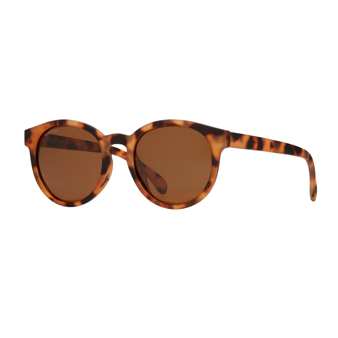 ARCHES SUNGLASSES