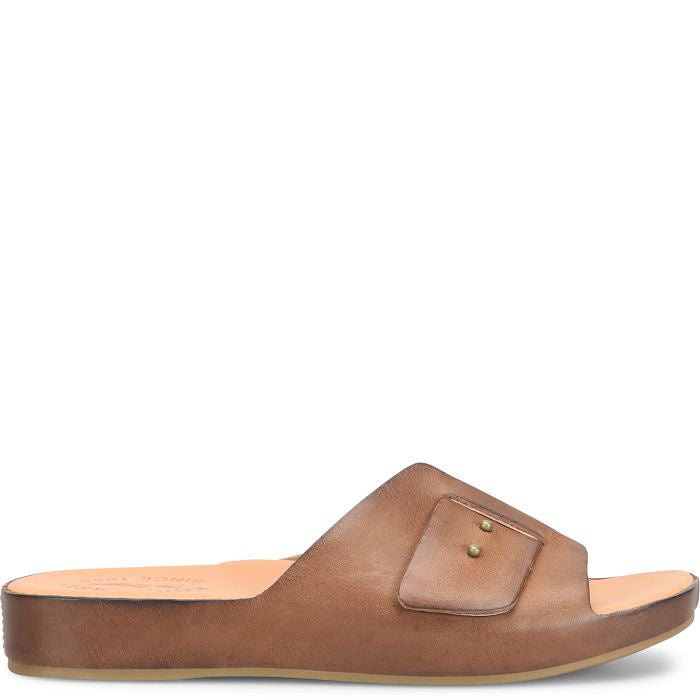 MESA in Brown