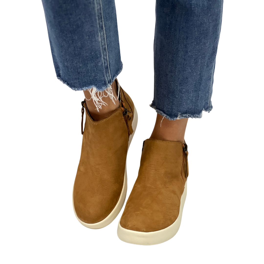 ADEPT in Brown