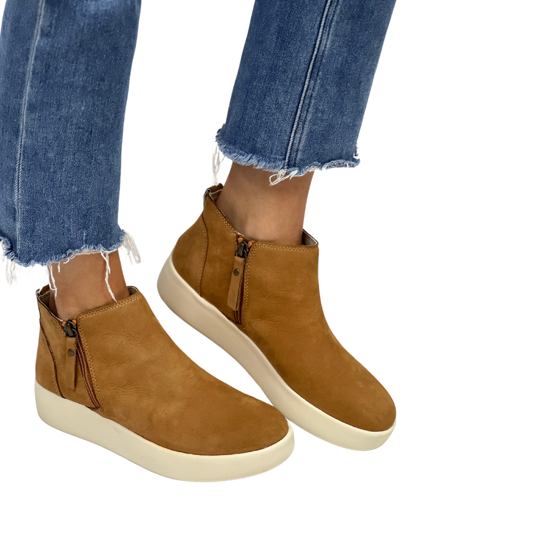 ADEPT in Brown