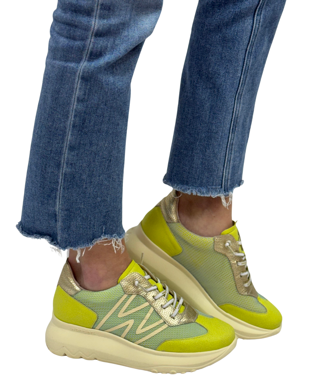 AZURE in Lime/Aqua + Platino