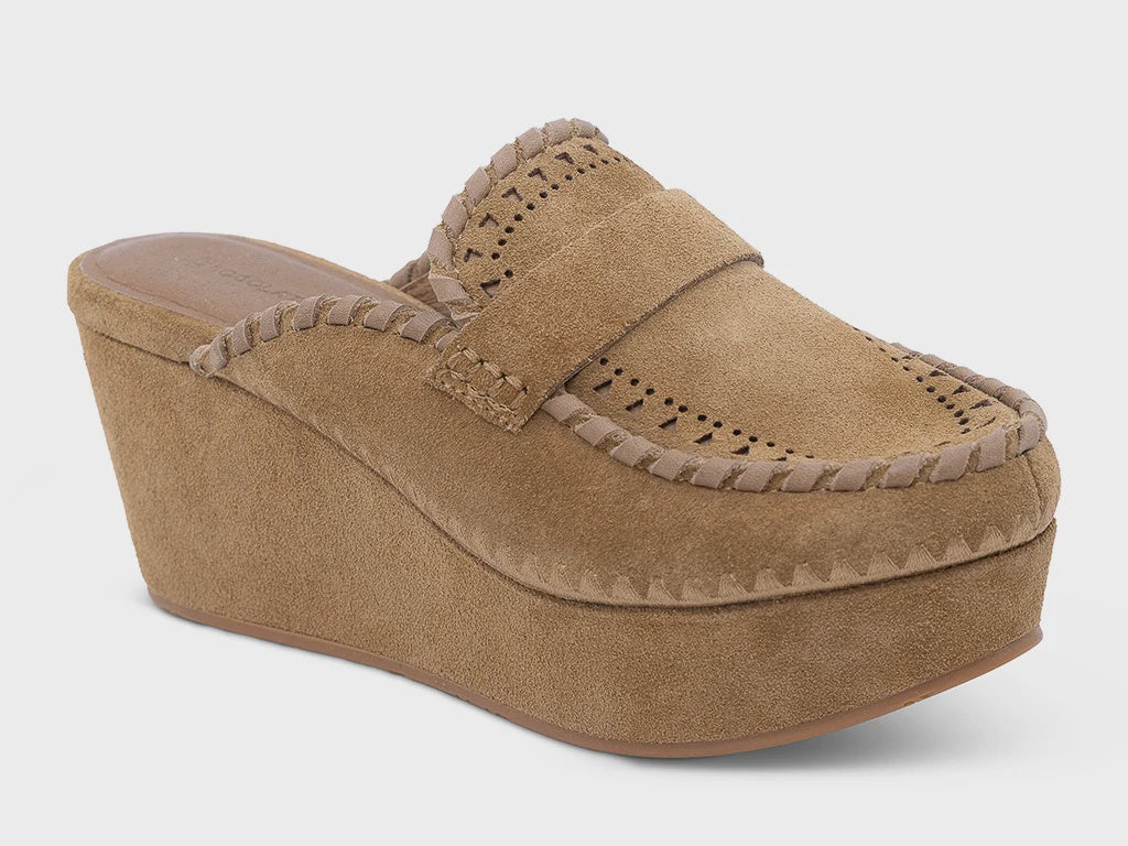WELSH in Camel
