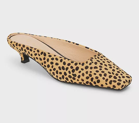 CLASSY in Cheetah