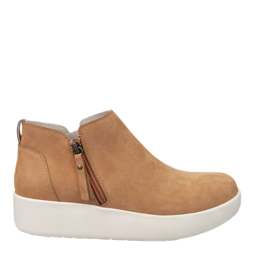 ADEPT in Brown