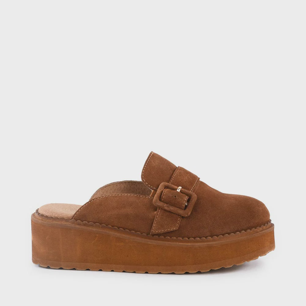 COME TOGETHER in Brown