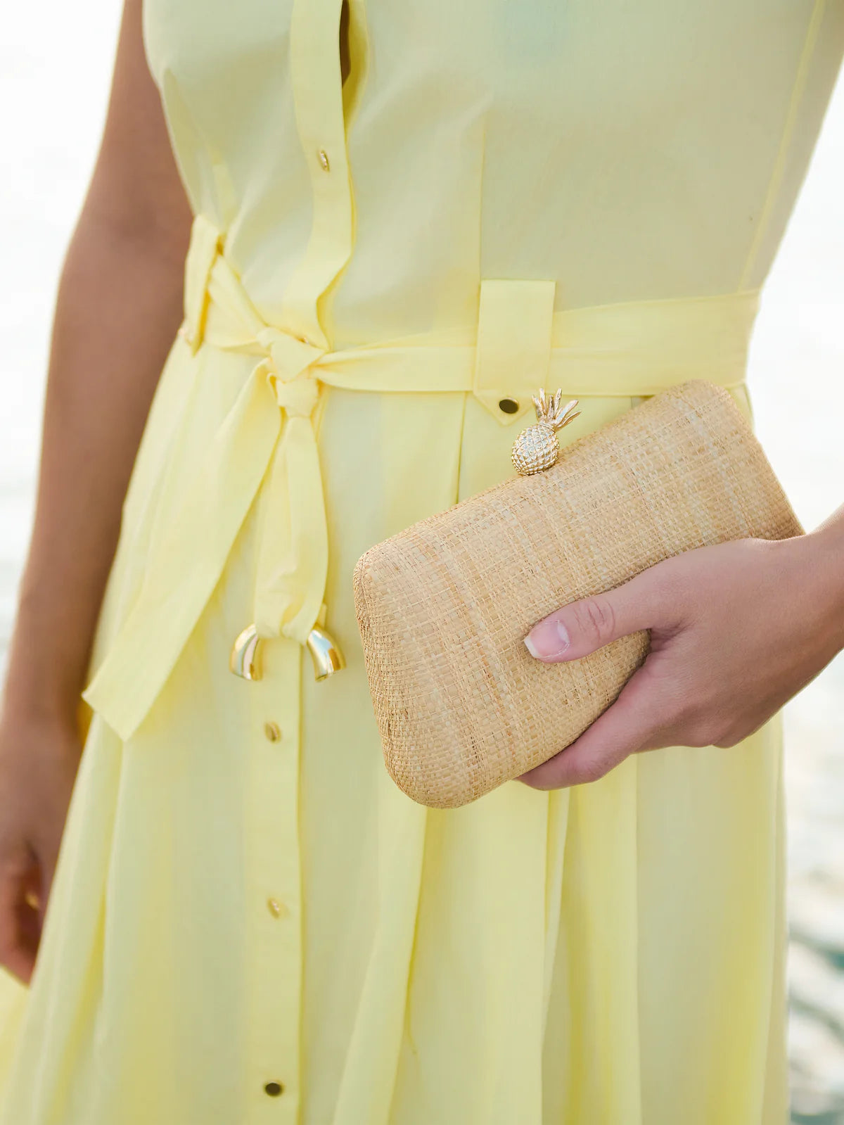 PINA MINAUDIERE in Natural