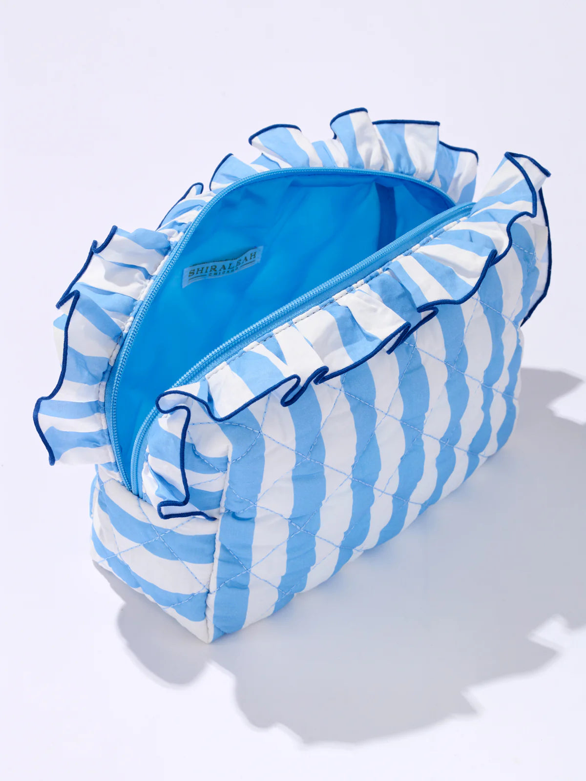 FANCY LARGE ZIP POUCH in Blue
