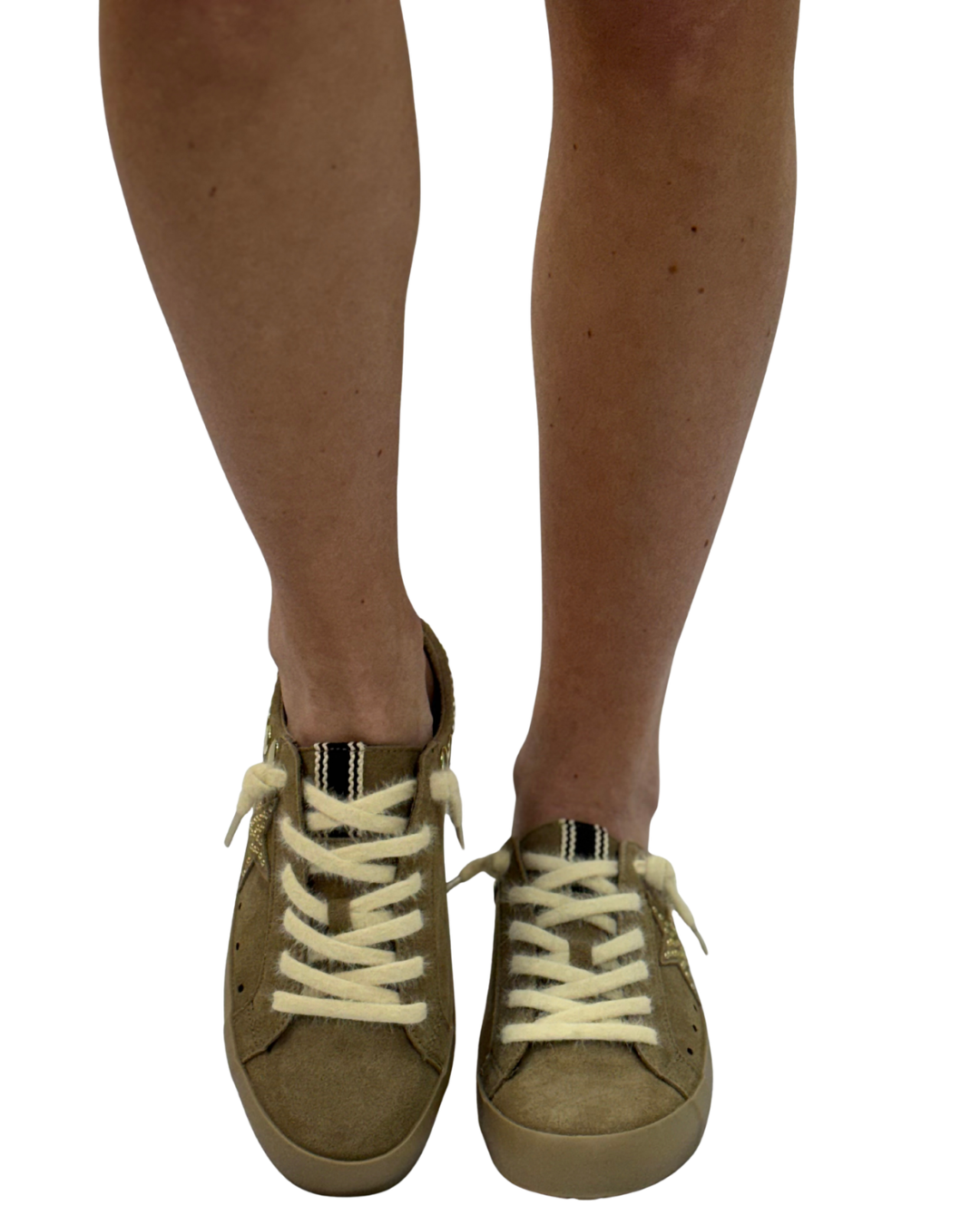 PIA in Camel