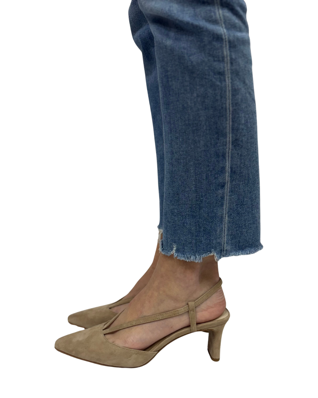 GINAY in Camel