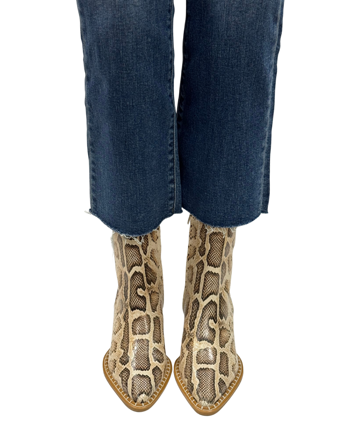 CATY in Natural Multi Snake