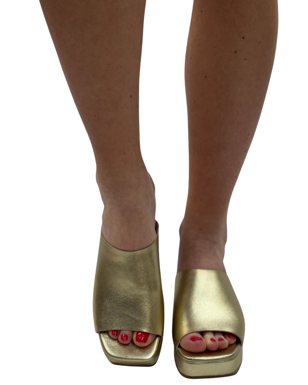 LIDO in Gold