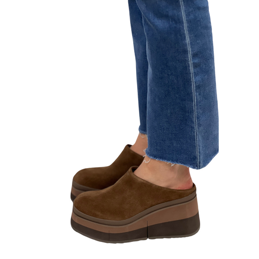 COACH in Dark Brown