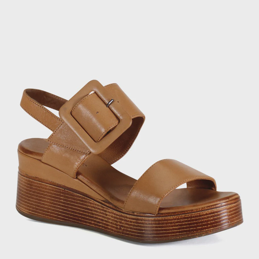 SEEN IT ALL in Coconut