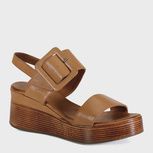 SEEN IT ALL in Coconut