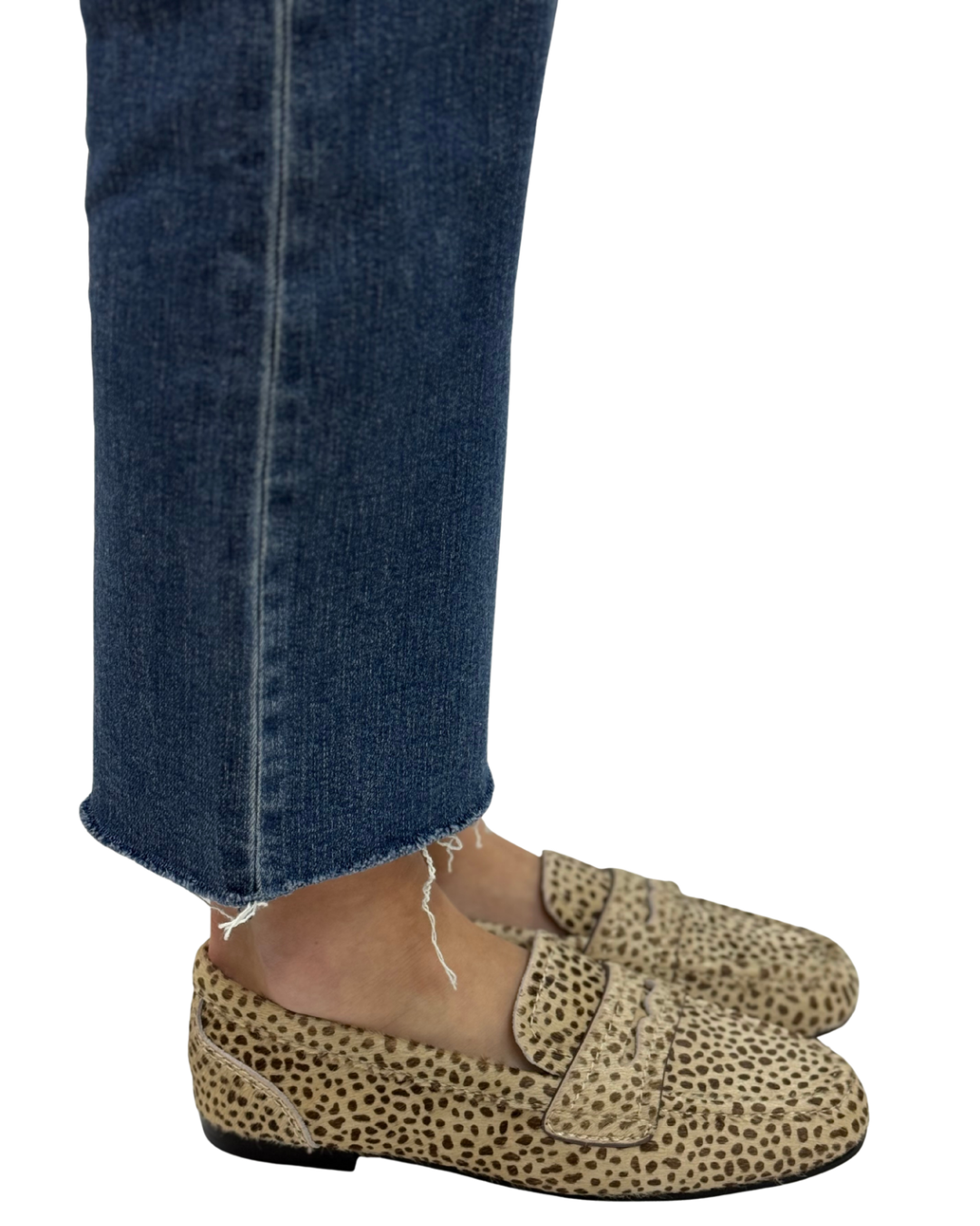 BAHAR in Cheetah