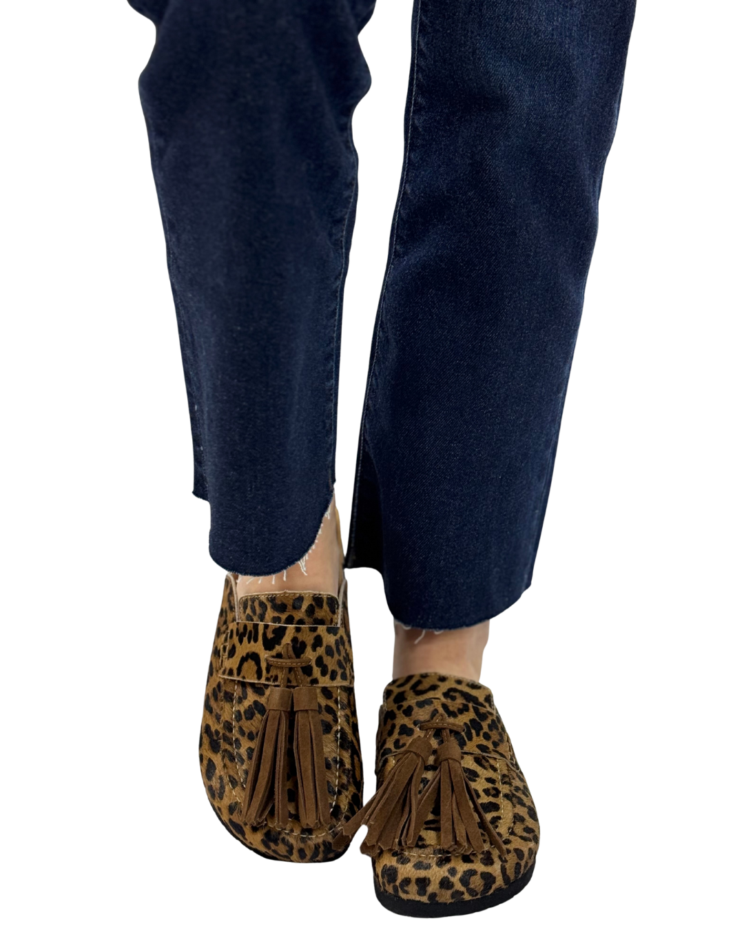 ARIANA in Leopard
