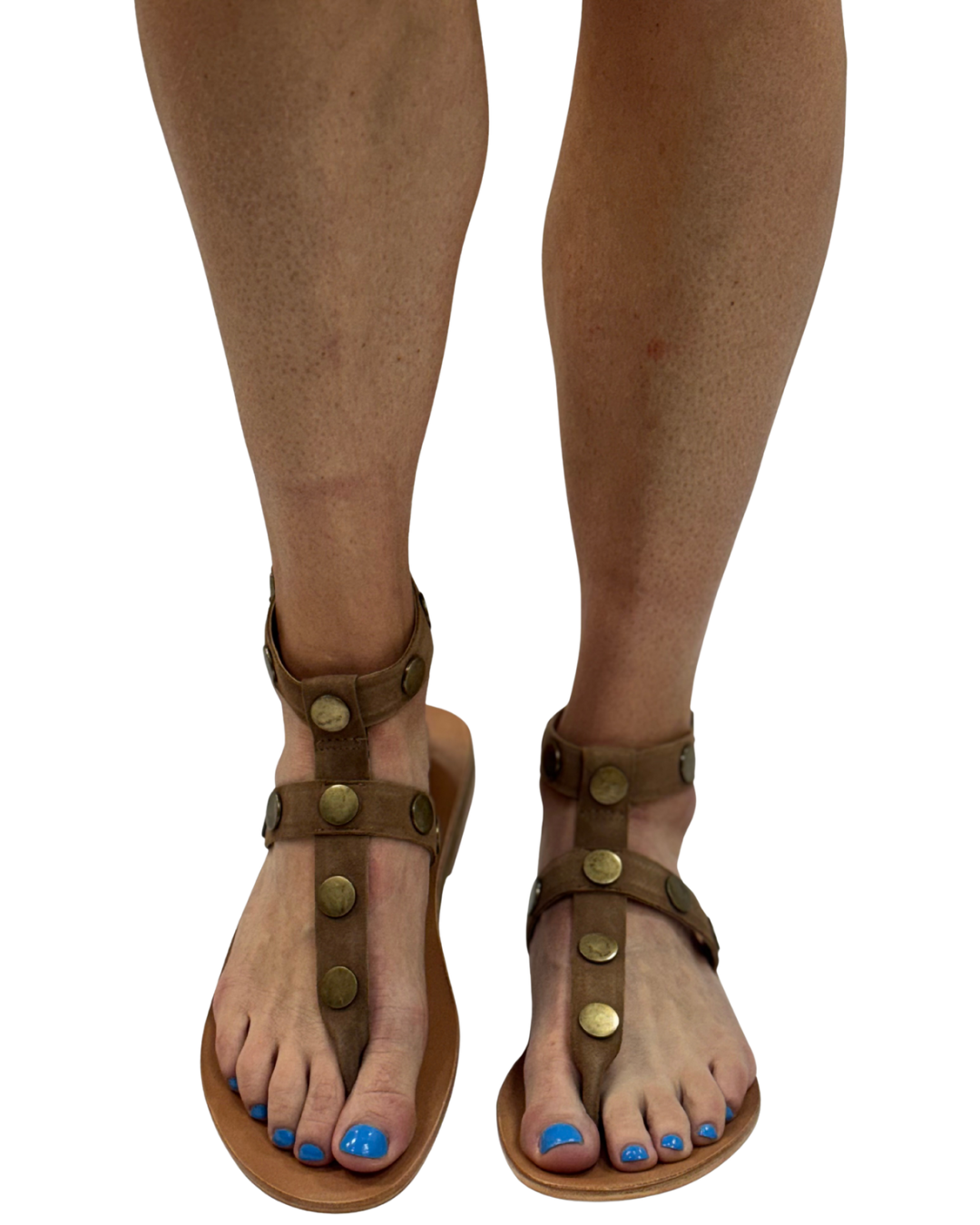 ALEXIS in Fawn