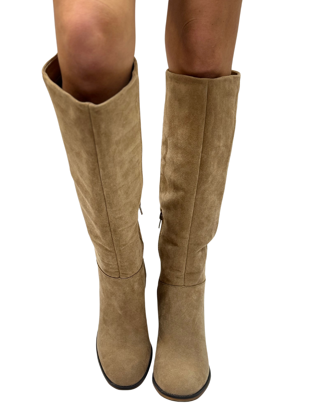 LANDEN in Maple