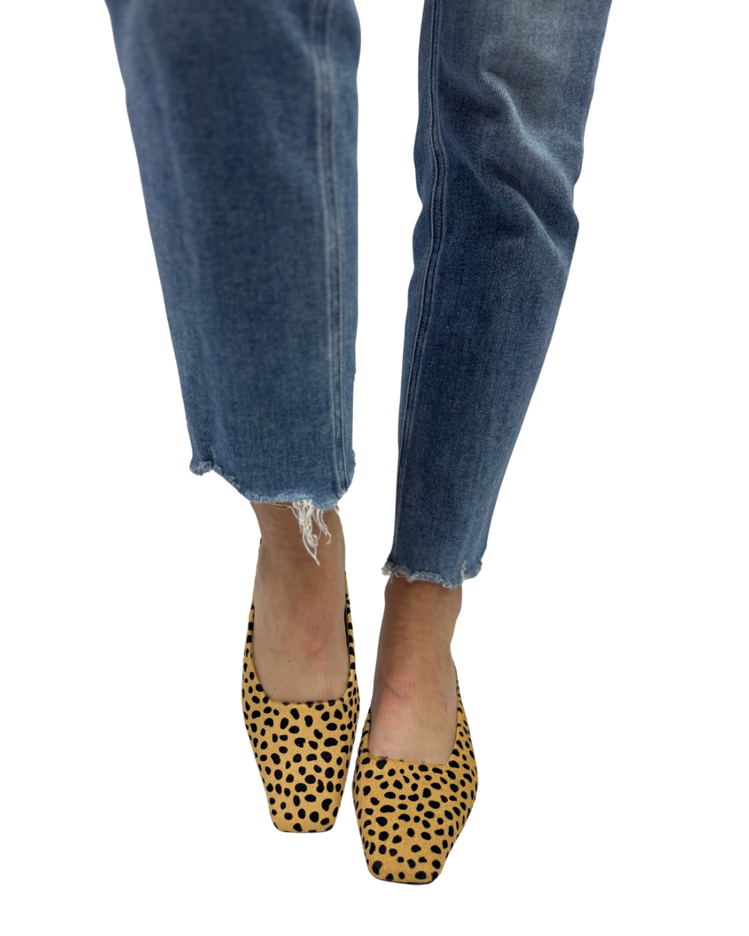 CLASSY in Cheetah