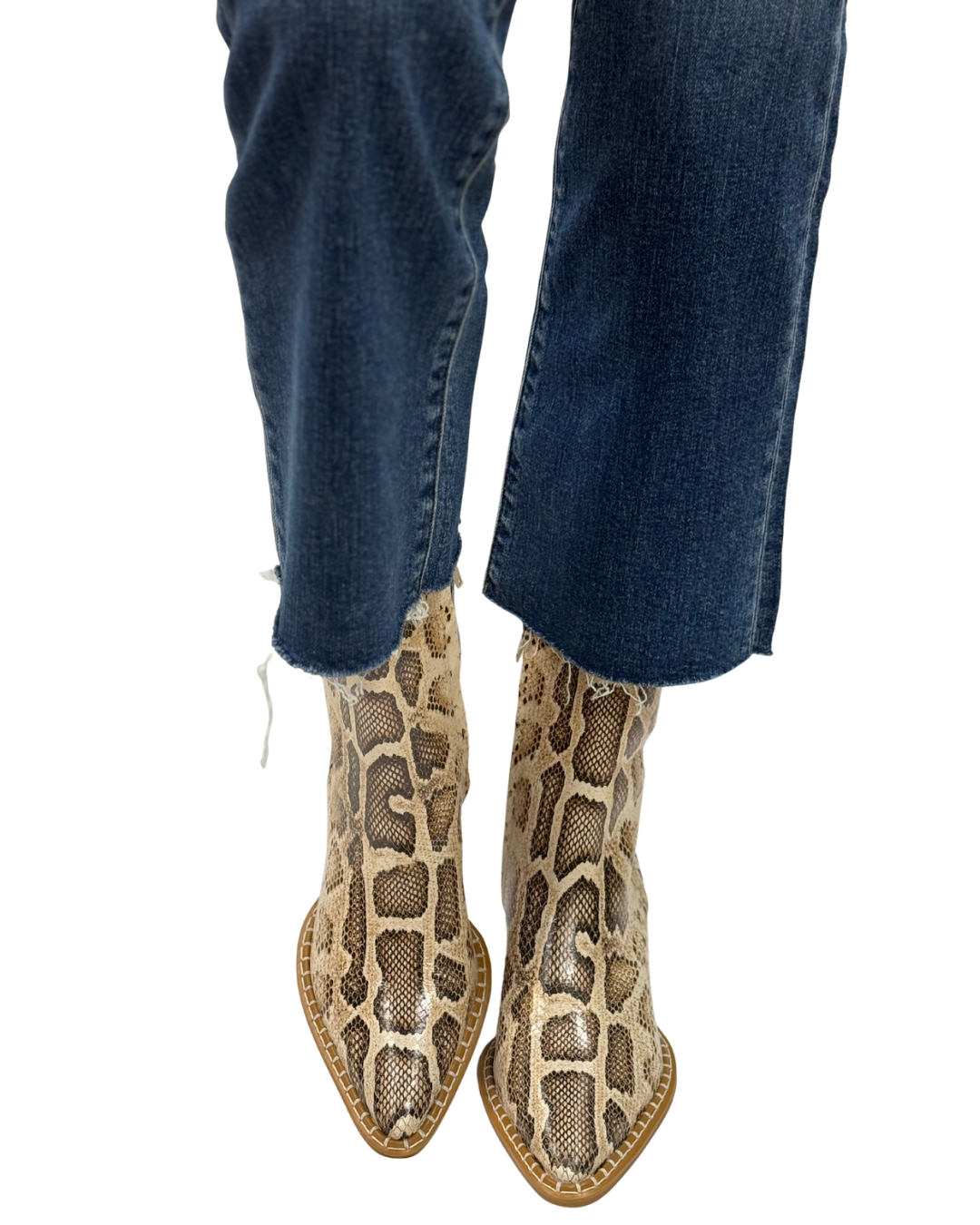CATY in Natural Multi Snake