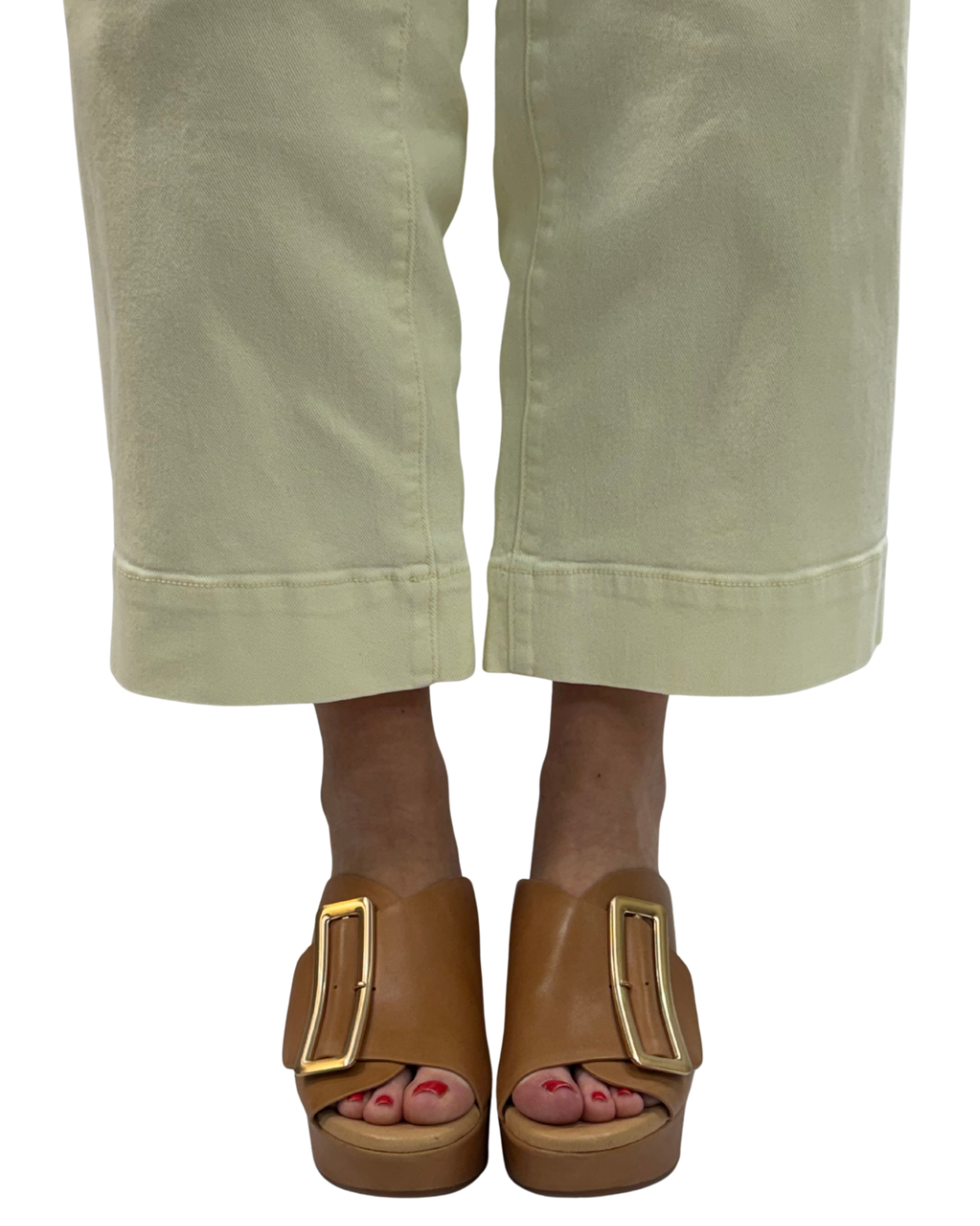 YASHA in Camel