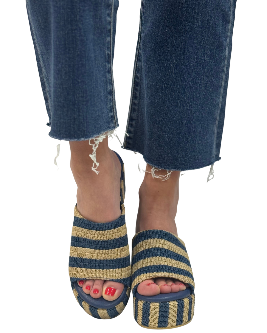 TERRY in Navy Stripe