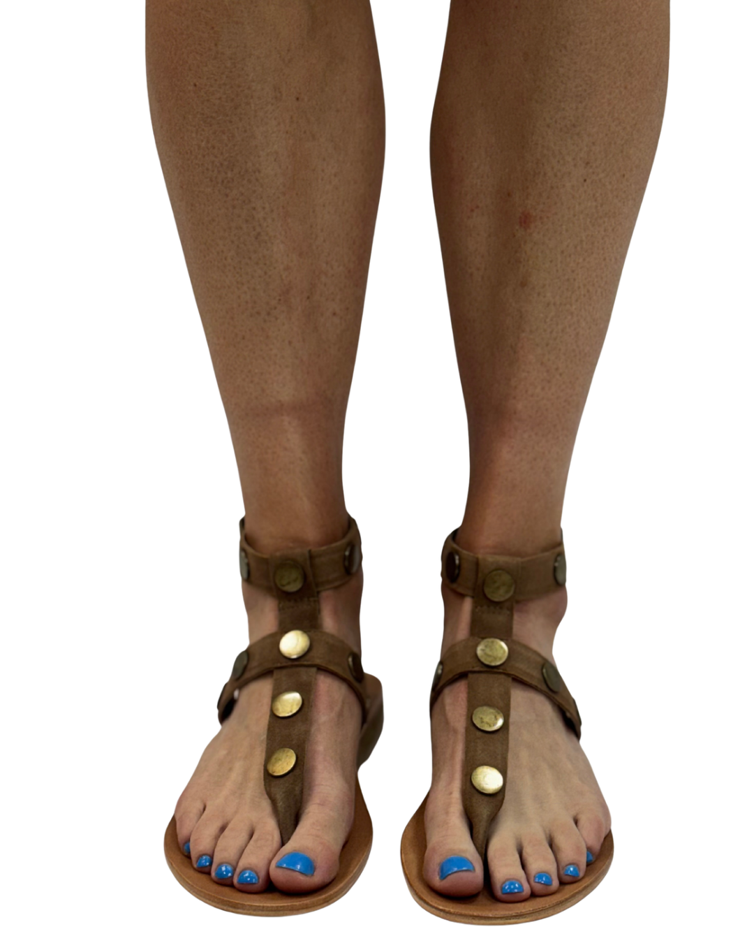 ALEXIS in Fawn
