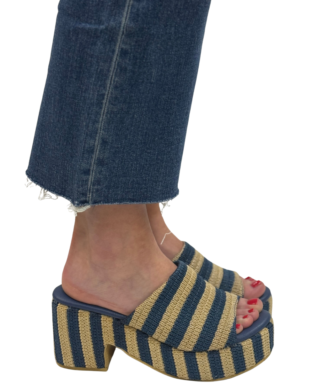 TERRY in Navy Stripe