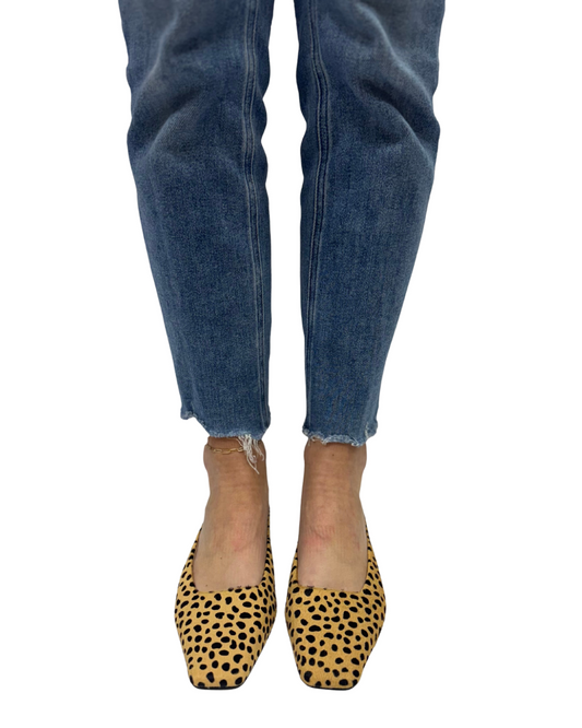 CLASSY in Cheetah