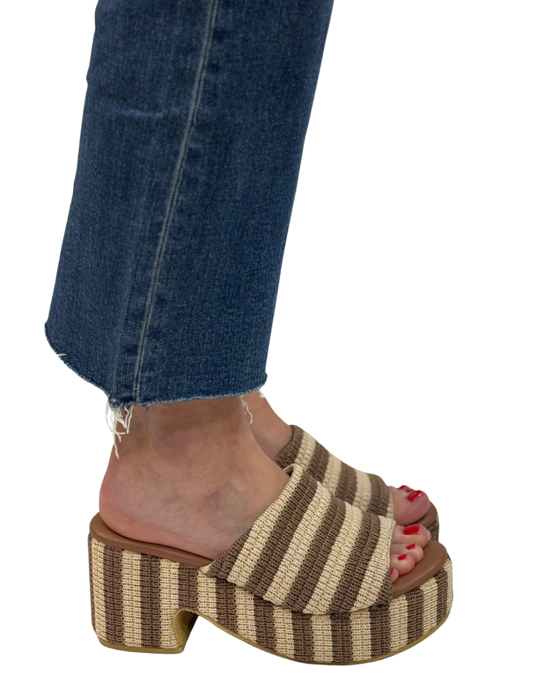 TERRY in Brown Stripe