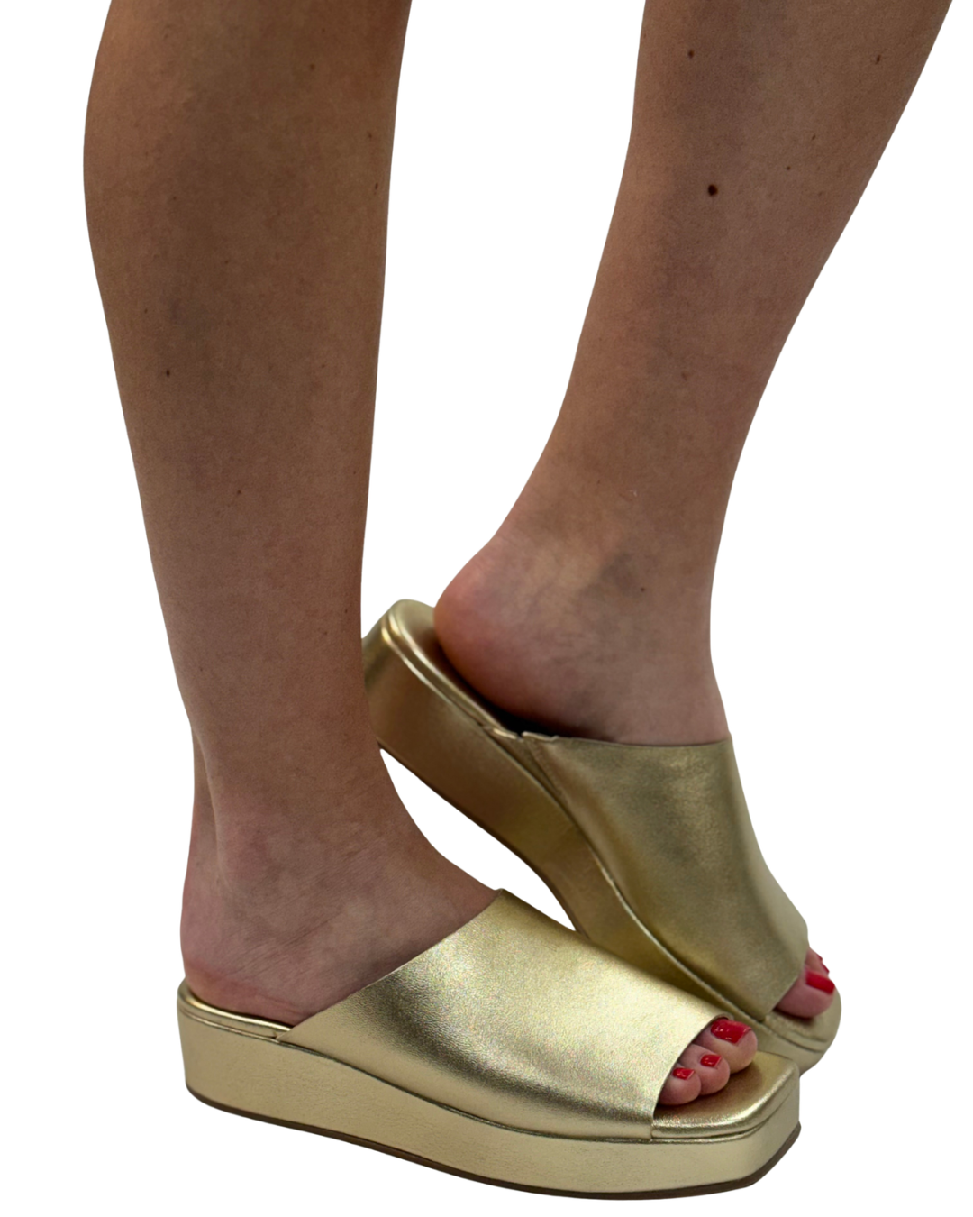 LIDO in Gold