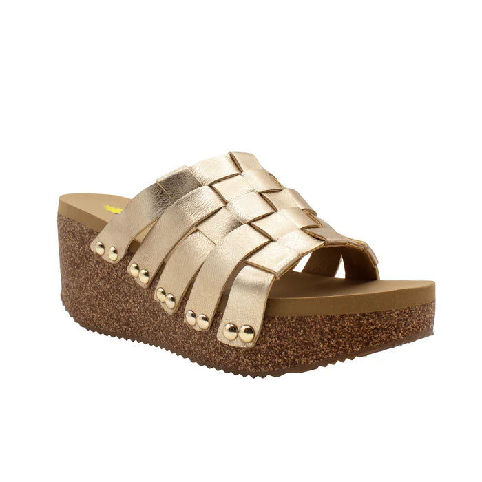 ENOKI in Gold