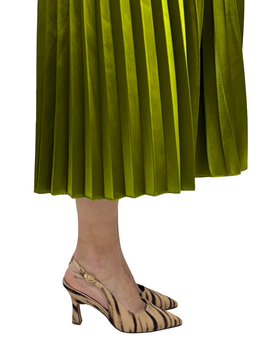 RIRI in Camel Safari