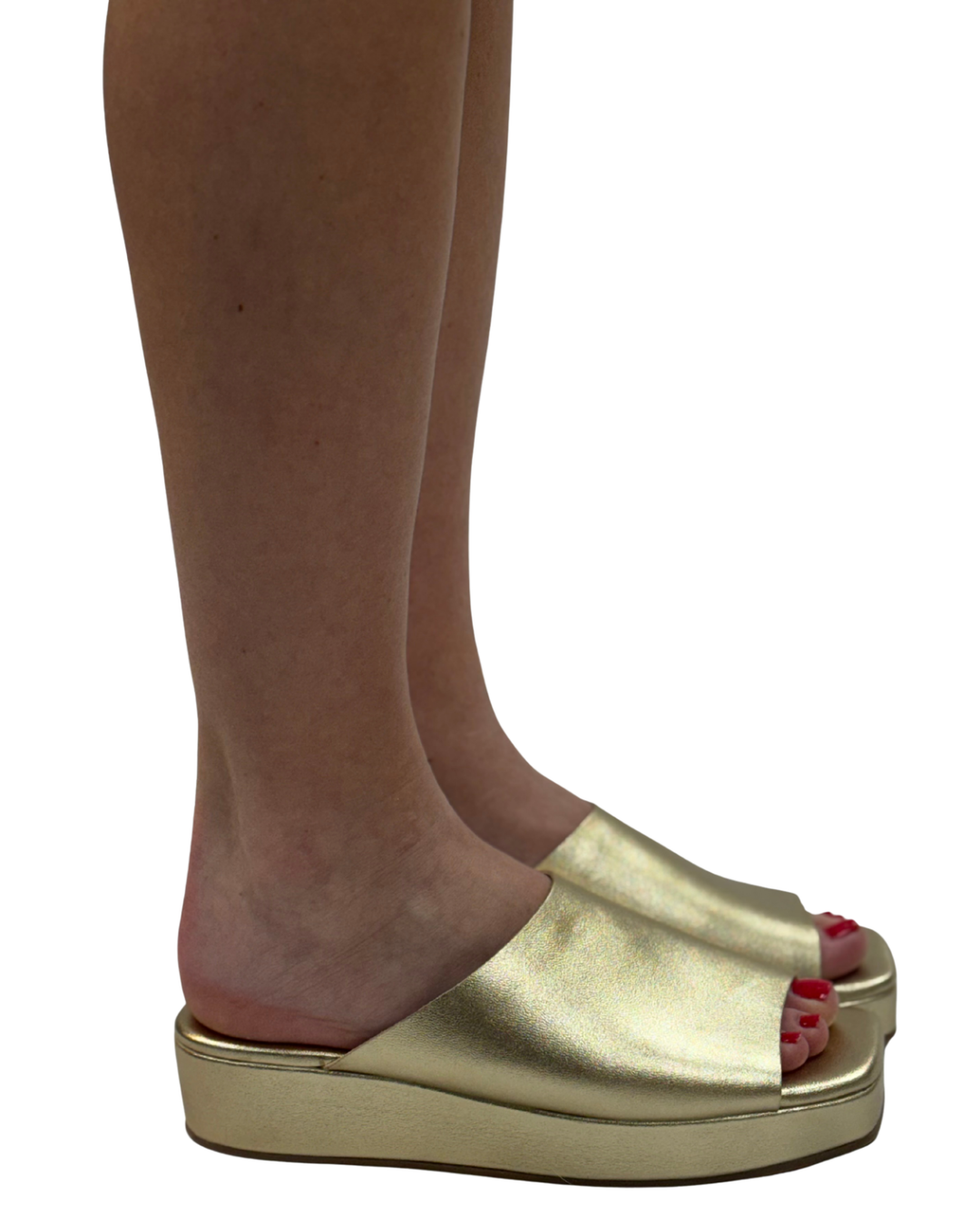 LIDO in Gold