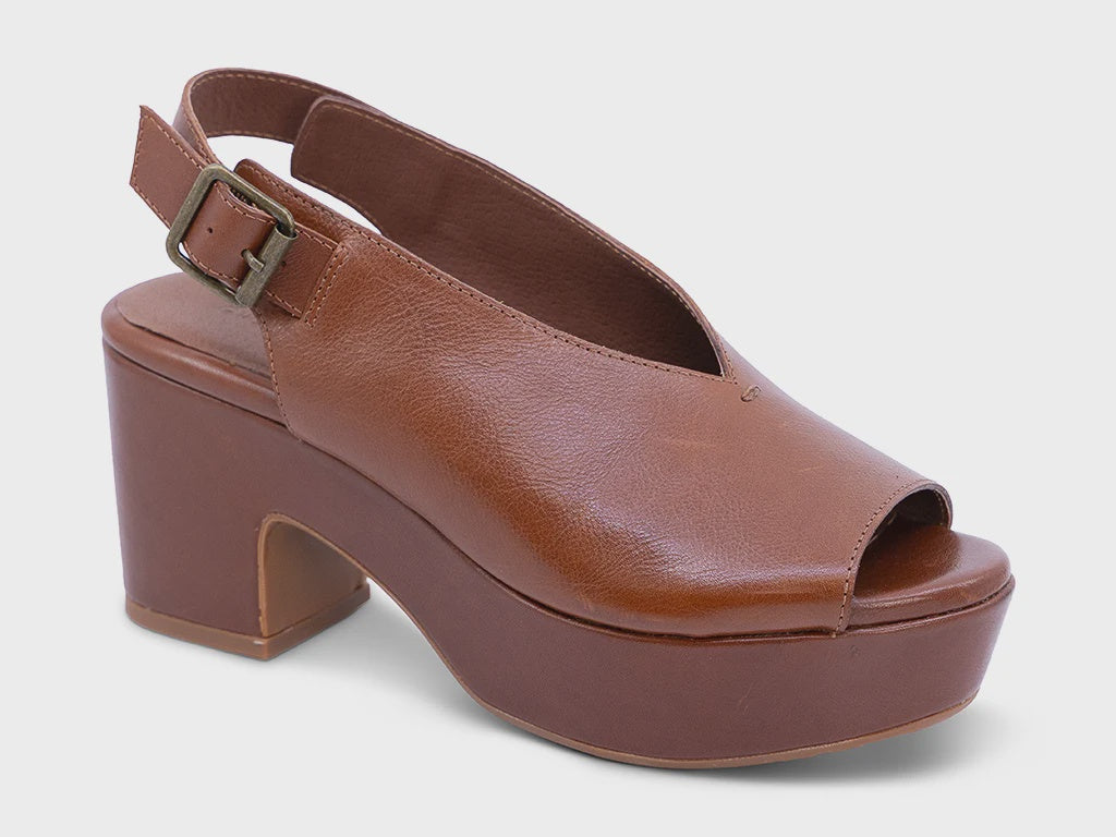 GAEL in Brown