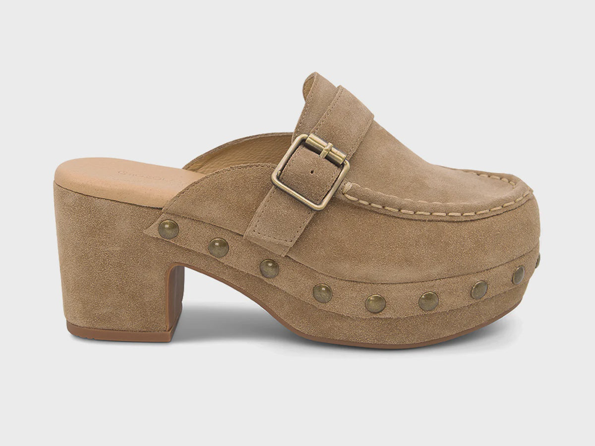 GENNI in Camel