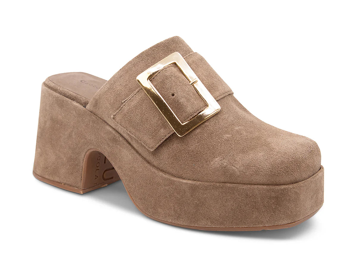 HAZE in Toffee