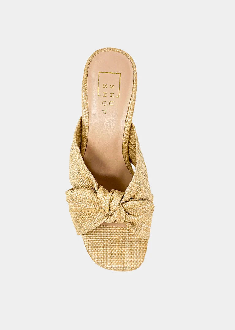LISA in Raffia