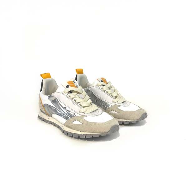 TORONTO in Silver Flash