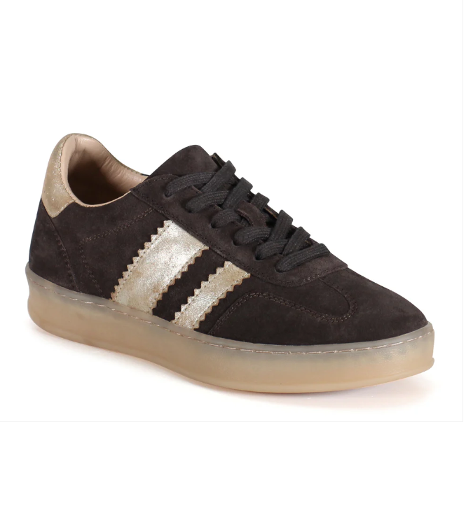 JON QWILL in Dark Brown + Gold