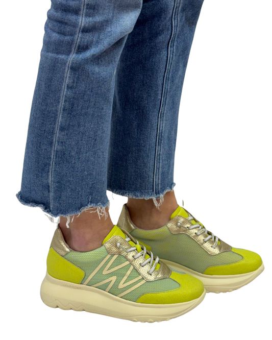 AZURE in Lime/Aqua + Platino
