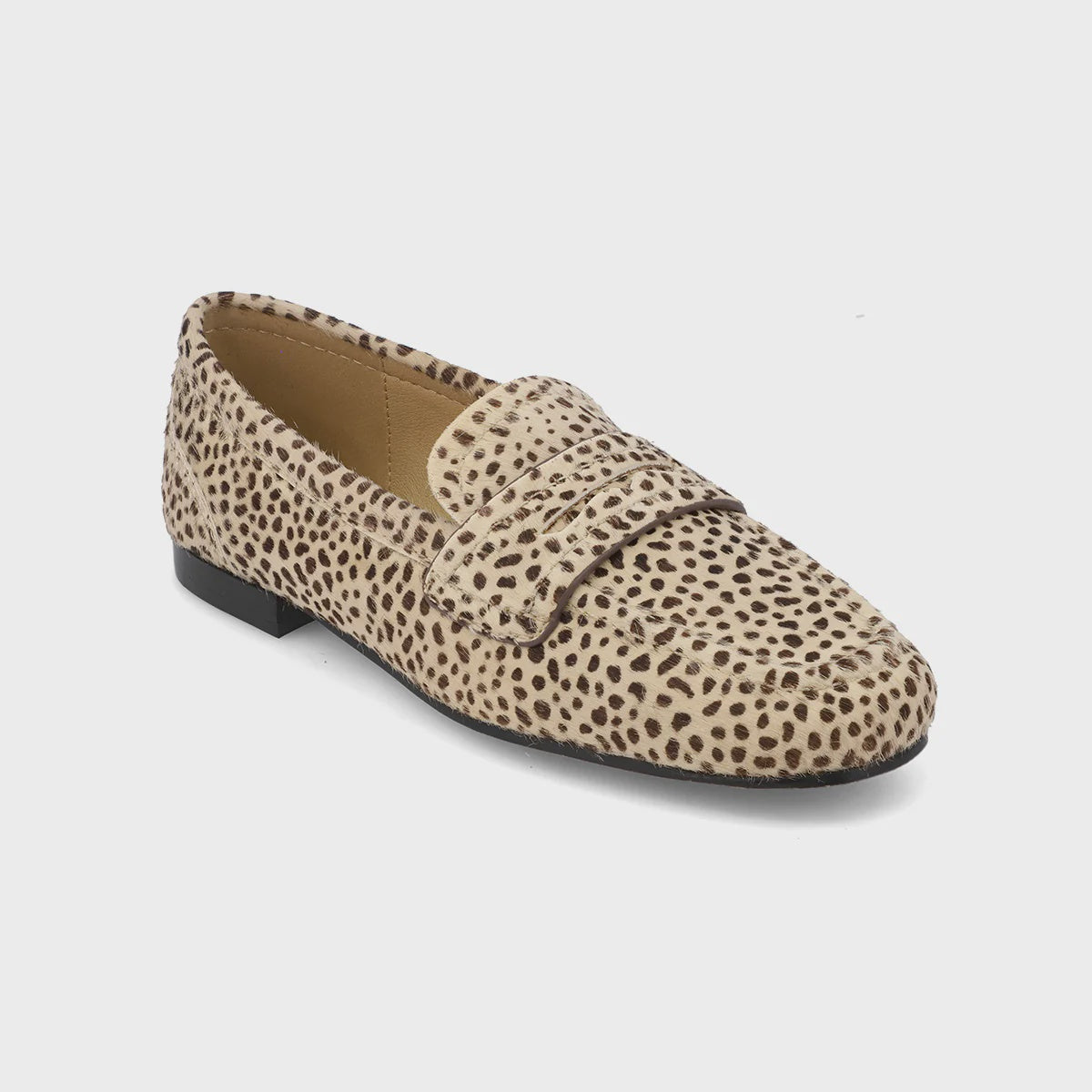 BAHAR in Cheetah