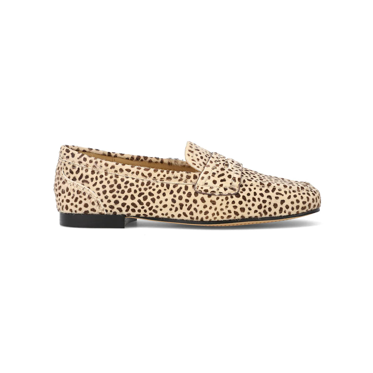 BAHAR in Cheetah
