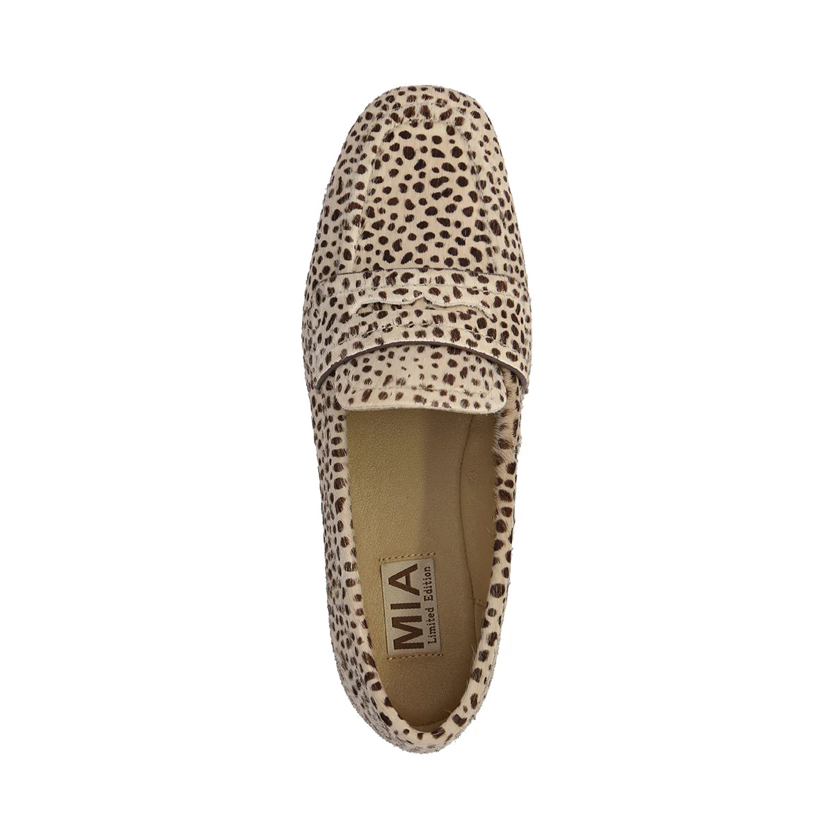 BAHAR in Cheetah